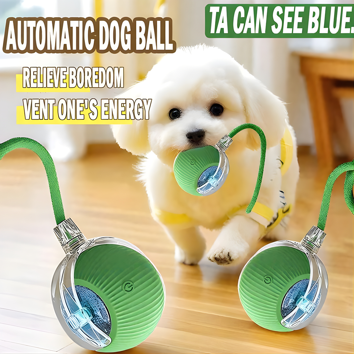 PetRoll SmartBall™ Interactive Motion Toy