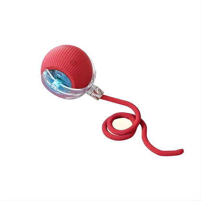PetRoll SmartBall™ Interactive Motion Toy