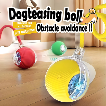 PetRoll SmartBall™ Interactive Motion Toy